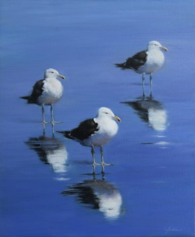 3 Gulls
